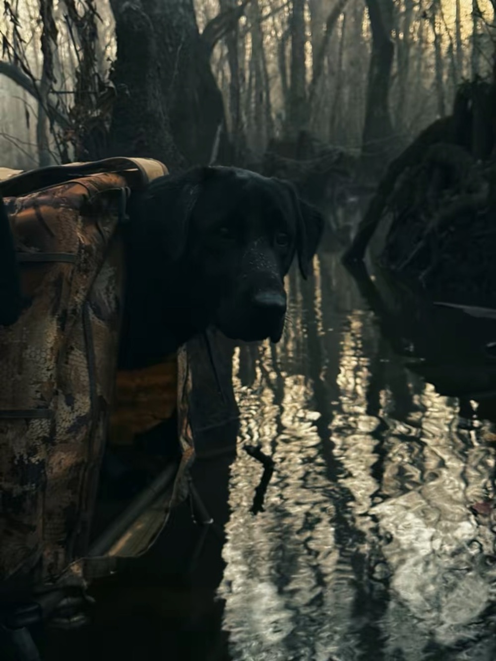 Meet your Posher, Dean